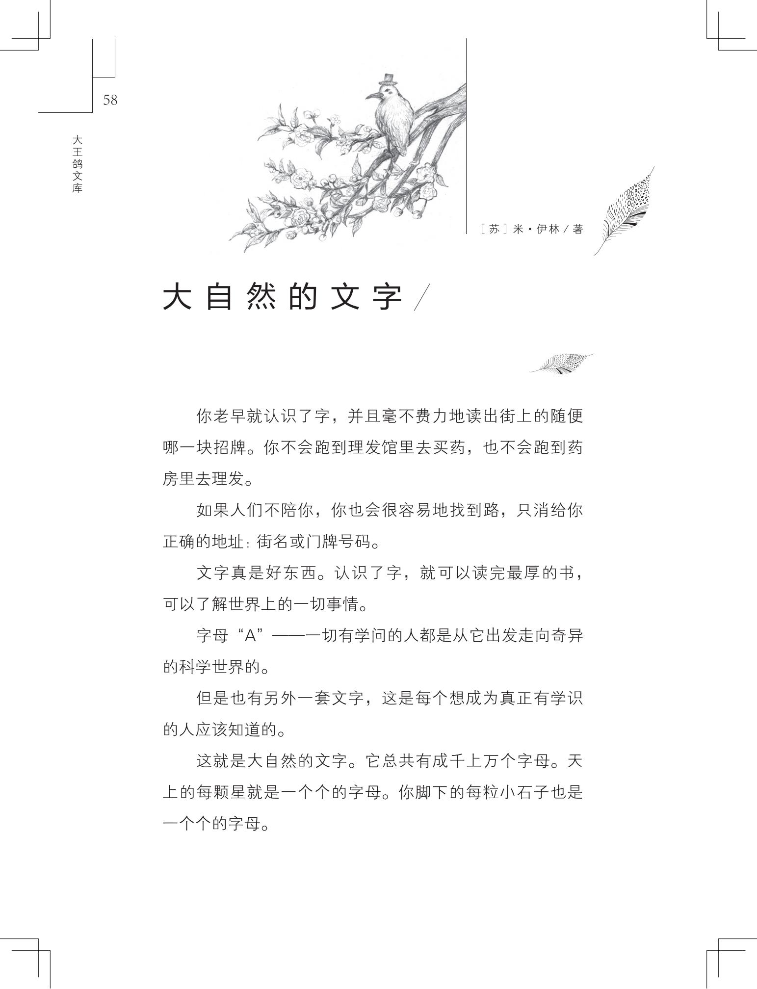 《做在大胡子里的鸟窝 》